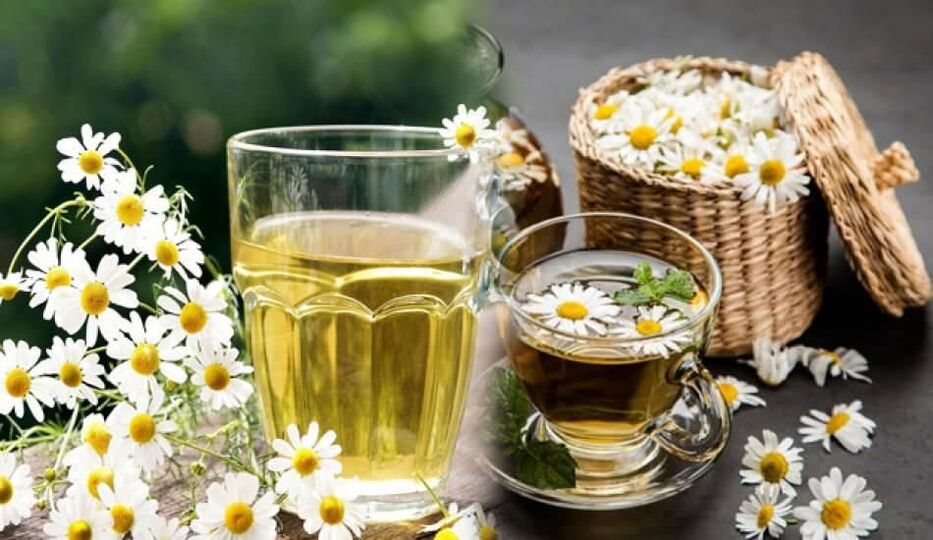 Chamomile decoction against parasites