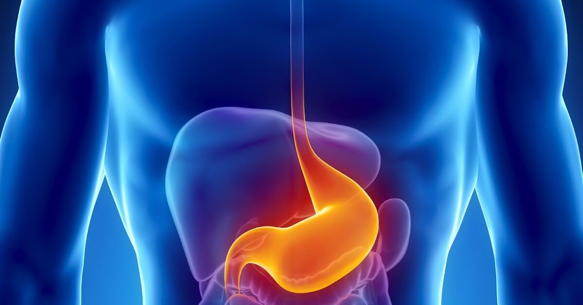 contraindications to cleansing the body from parasites