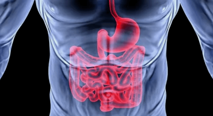 Diseases caused by worms